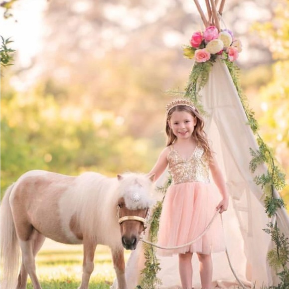 Boutique Sequin Peach Tulle Dress with Bows, girls, 5T - Picture 2 of 2